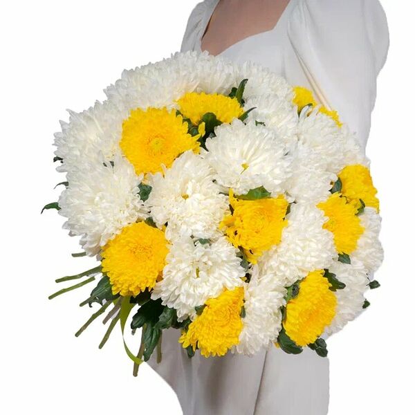 25 пышных хризантем