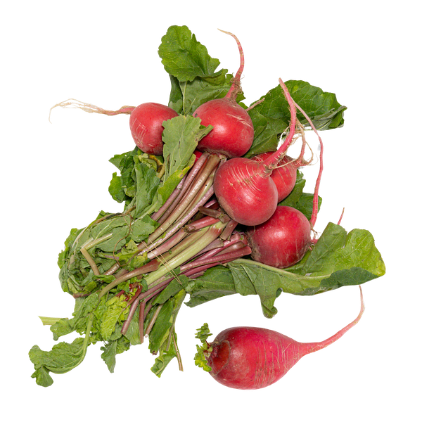 Редис пучок шт