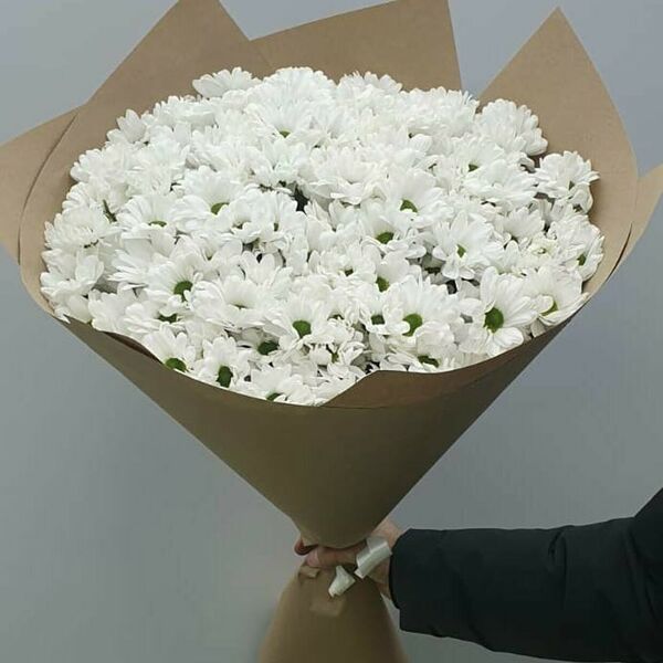 Букет на 1 сентября из 25 белых хризантем ромашки