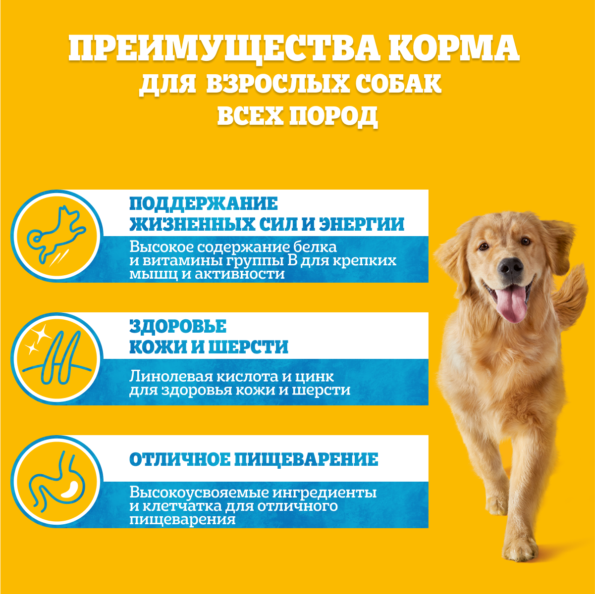 

Влажный корм Pedigree для собак говядина в соусе 85 г