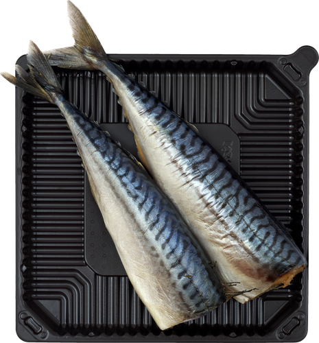 

Скумбрия соленая, весовая