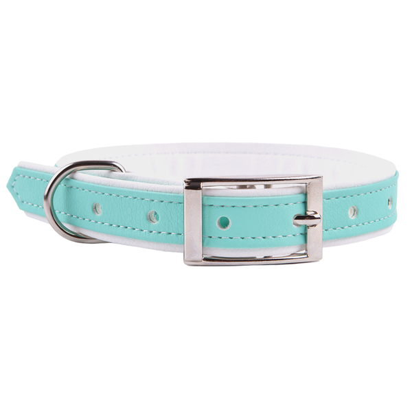 Ошейник для собак Pastel, 2,5 см, мятный