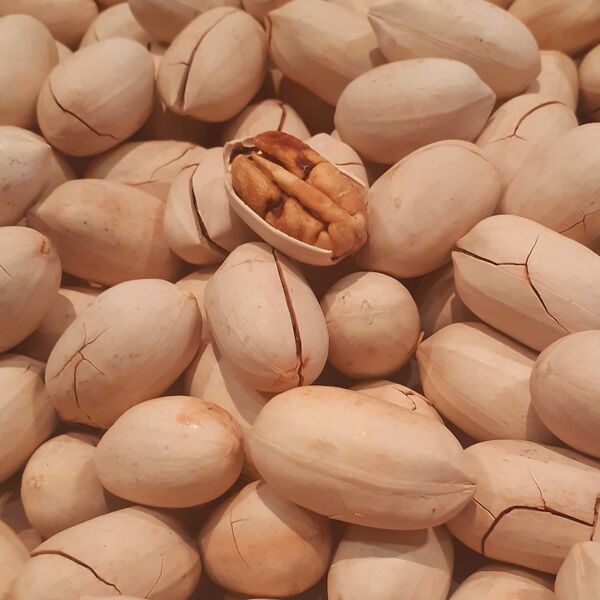 Пекан в скорлупе