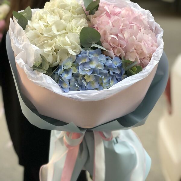 Микс из 3 гортензий