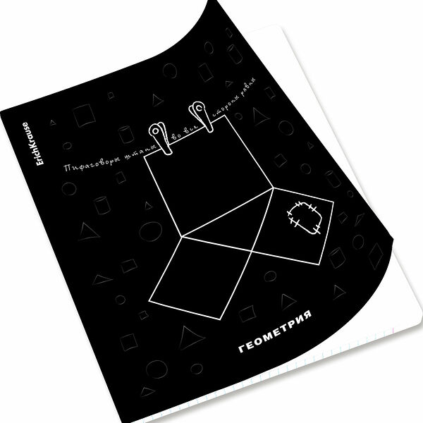 Тетрадь предметная Erich Krause Геометрия 48 листов
