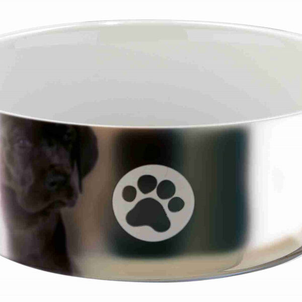 TRIXIE Миска для собак с рисунком Лапки серебряно-белая керамическая 0,8л ø 15см