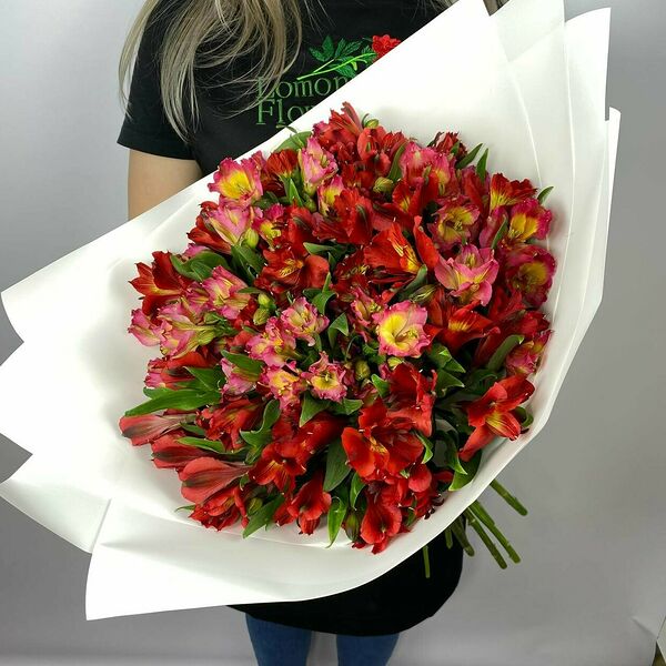Букет из 19 красно-розовых альстромерий