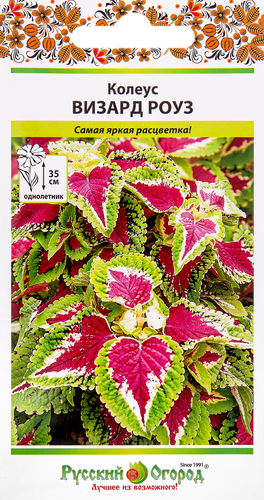 

Семена Русский Огород Колеус Визард Роуз