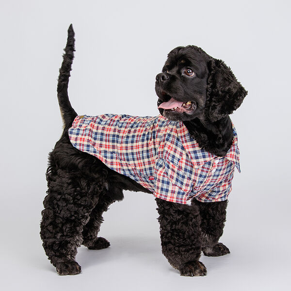 Petmax Рубашка сине-красная в клеточку 3XL