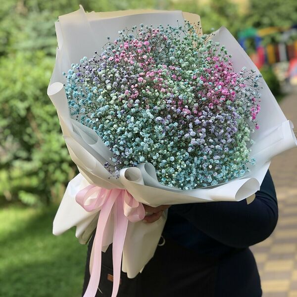 Радужная Гипсофила