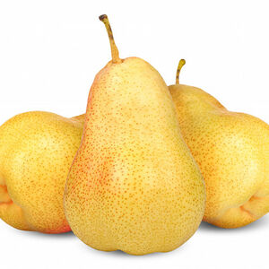 Груша Форел