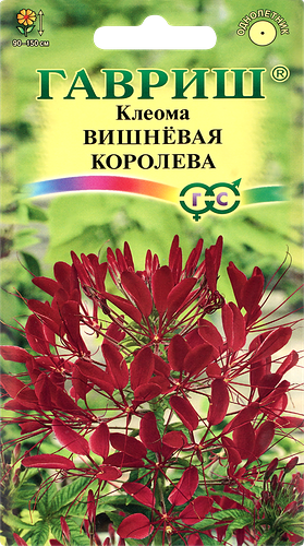 Семена ГАВРИШ Клеома Вишневая королева, Арт. 10001672, 0,3г