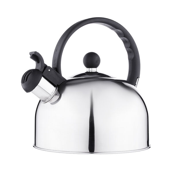 Чайник стальной 2.5л, индукция, rwk007