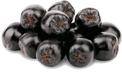 

Черноплодная рябина, 450г