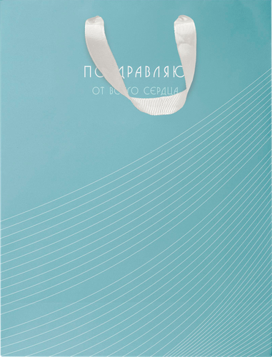 

Пакет подарочный Paketiko Arctic 22.7 х 18 х 10 см, дизайн в ассортименте