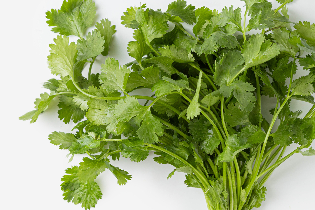 

Кинза Фруткорт 30 г