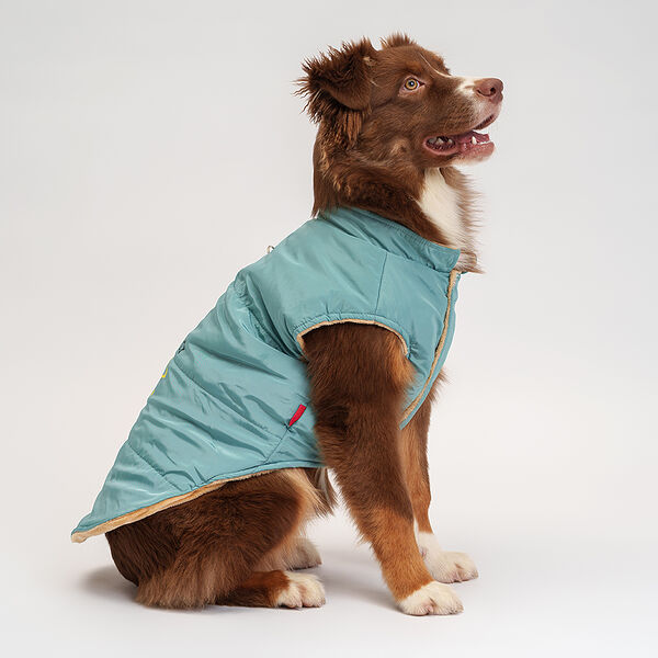 Куртка для собак Petmax 3XL бирюзовая