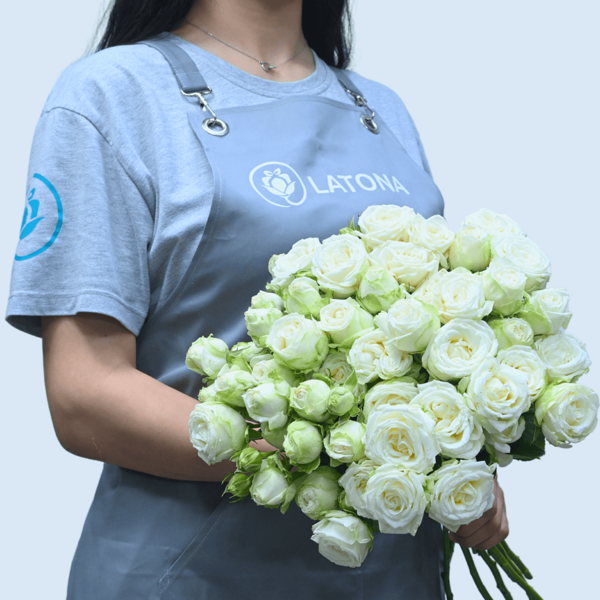 Пионовидные розы Мисс помпезность