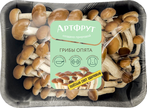

Грибы опята Artfruit, 200г