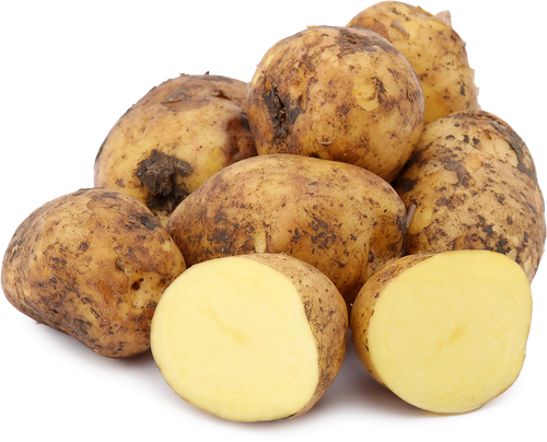 

Картофель фасованный 5000 г