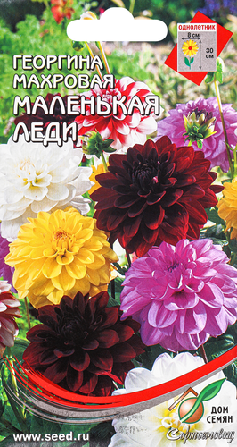 

Семена Семена ДОМ СЕМЯН Георгина Маленькая леди, 15 семян
