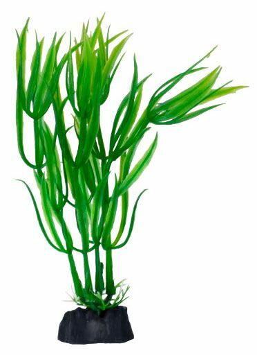 Растение таксодий HOMEFISH для аквариума пластиковое с грузом 12см