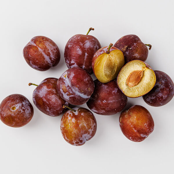 Слива Кабардинка