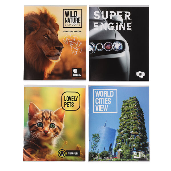 Тетрадь общая 48 листов в клетку блок №2 120 г/м2 1 шт, дизайн в ассортименте