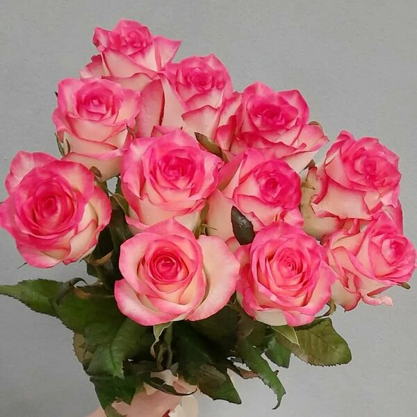 Букет 11 ароматных роз