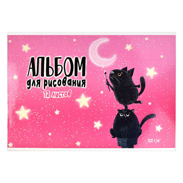 Альбом для рисования Ночное приключение 12 л