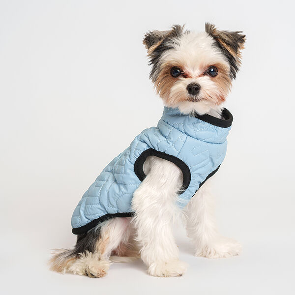 Куртка для собак Rurri на замке S, голубая