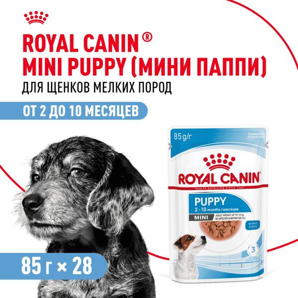 Корм для щенков Royal Canin Mini для мелких пород до 10 месяцев, кусочки в соусе, 85 г