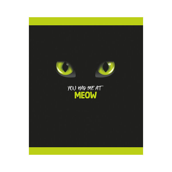 Тетрадь   48л клетка  Глаза кота в темноте арт 48.91