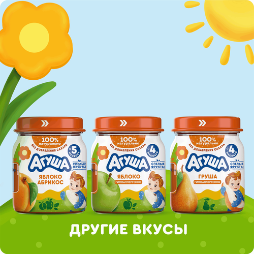 

Пюре фруктовое детское Агуша Черная Смородина-Красная Смородина с 5 месяцев 100 г