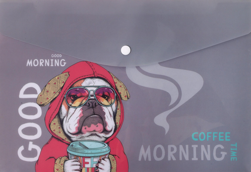 

Папка для файлов А4 25х32.5х0.15 см