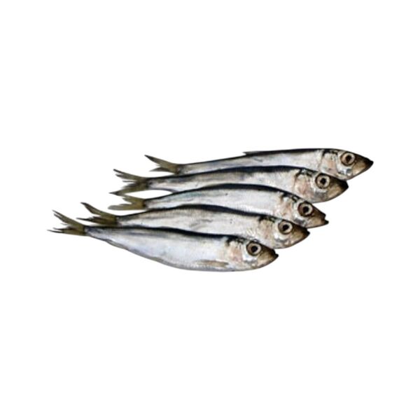 Салака мор фас Очень вес