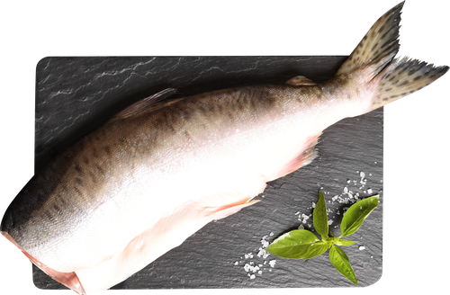 

Горбуша потрошеная без головы свежемороженая вес