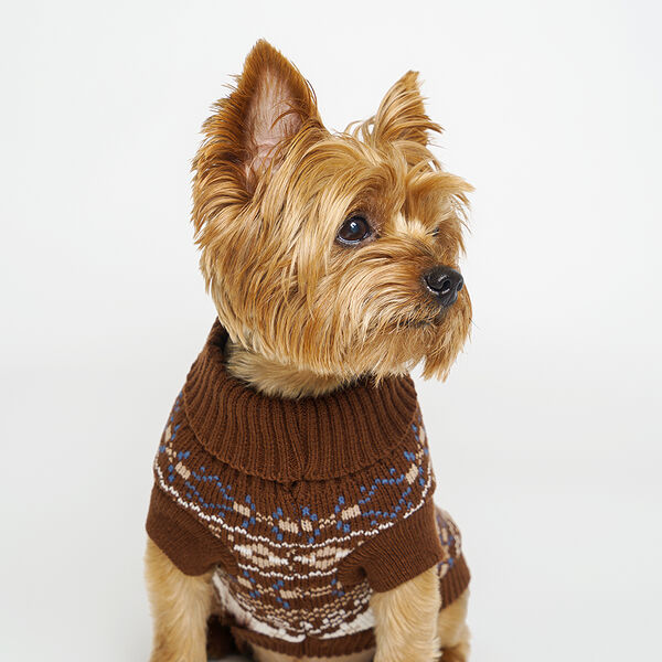 Свитер с узорами для кошек и собак Petmax S коричневый