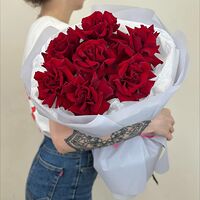 Изображение 2