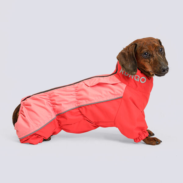 Дождевик Rungo Такса кроличья девочка морковь XL