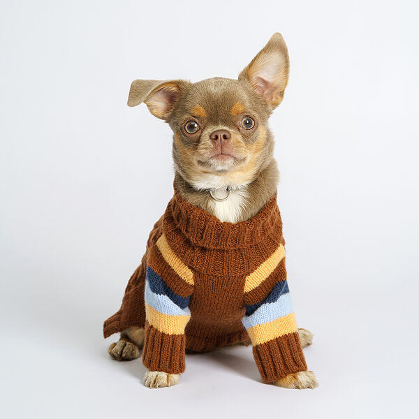 Свитер Petmax для кошек и собак XS, коричневый