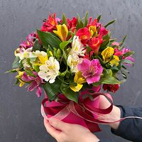 Изображение 1