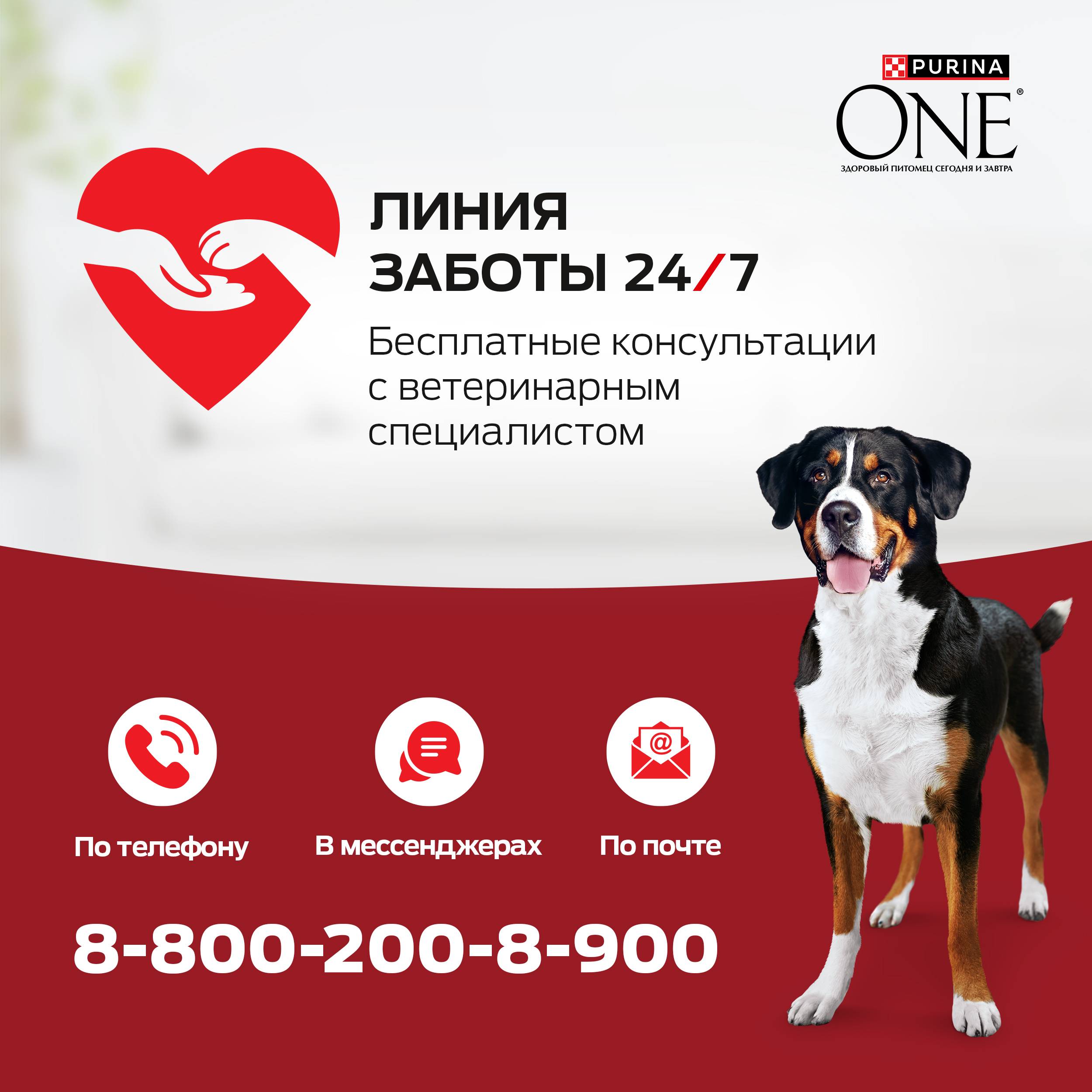 

Сухой корм Purina One для взрослых собак средних и крупных пород с высоким содержанием говядины и с рисом 1.8 кг