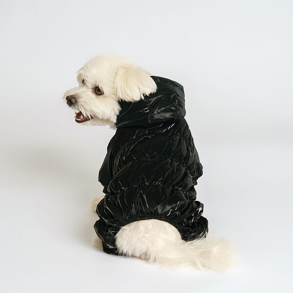 Комбинезон Rurri для собак, M, черный