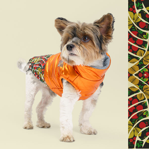Куртка Petmax для собак на замке, M оранжевая