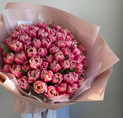 51 пионовидный тюльпан премиум