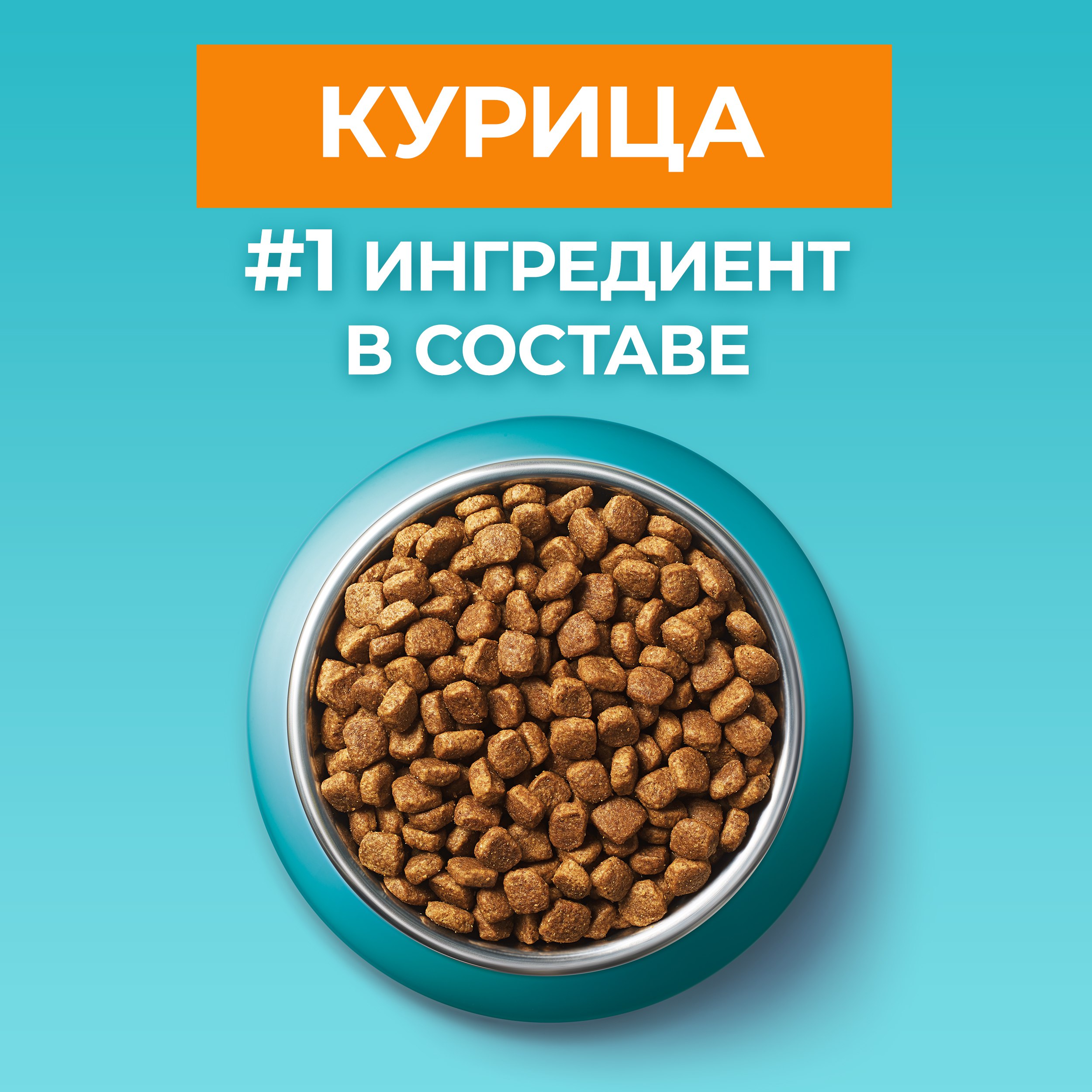 

Сухой корм Purina One® для стерилизованных кошек и кастрированных котов, живущих в домашних условиях, с высоким содержанием курицы и цельными злаками, пакет 750 г