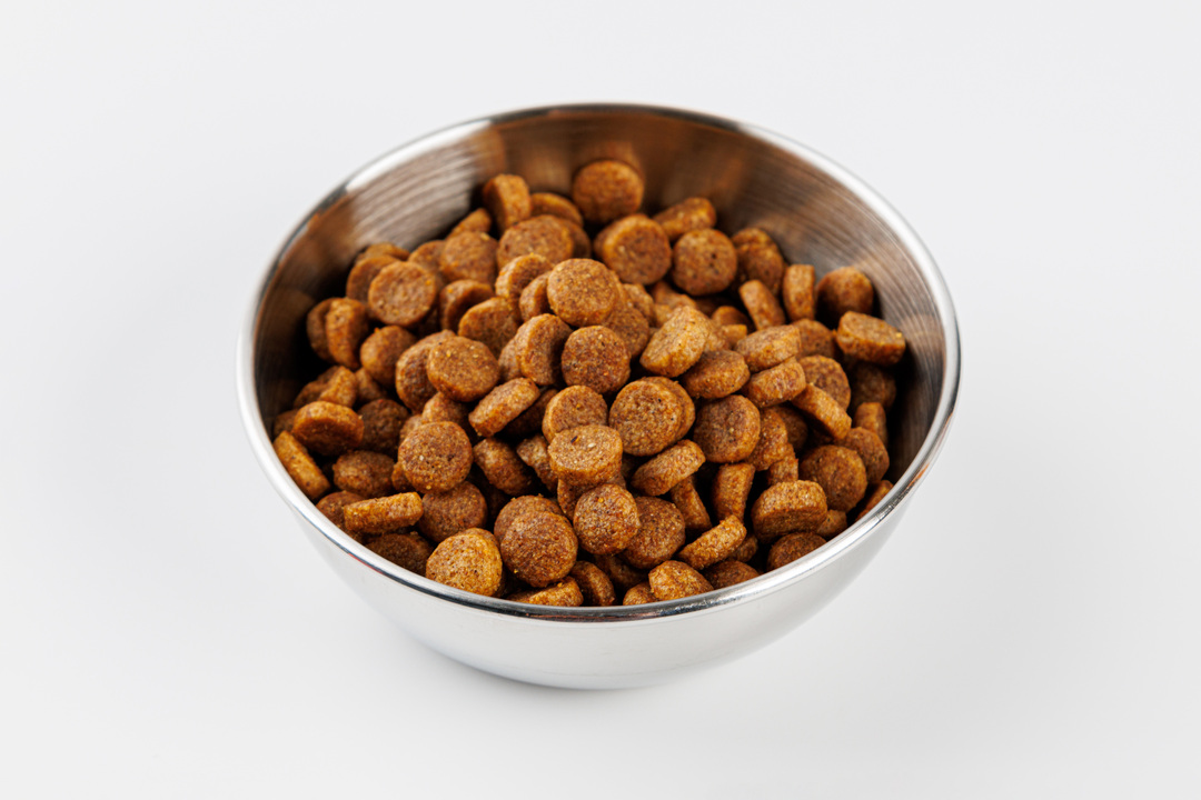 

Корм для кошек Bowl Wow с чувствительным пищеварением, с индейкой, курицей и добавлением тыквы 400 г