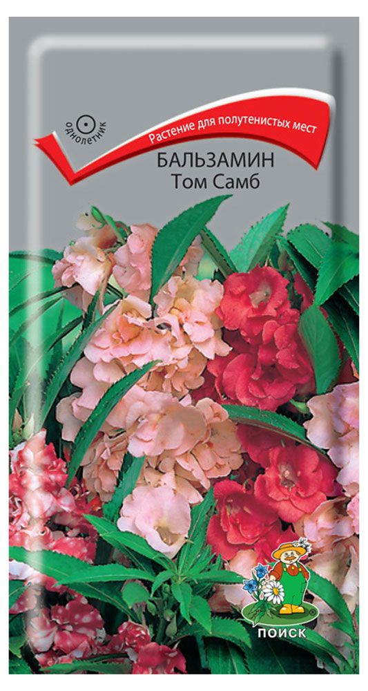 

Семена Поиск Бальзамин Том Самб