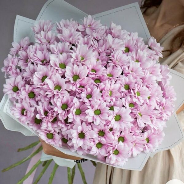 Ромашковое настроение